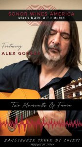 Alex-Gordez-Two-Moments-Of-Fame-Sonicated-Sangiovese-2019-Front-Label